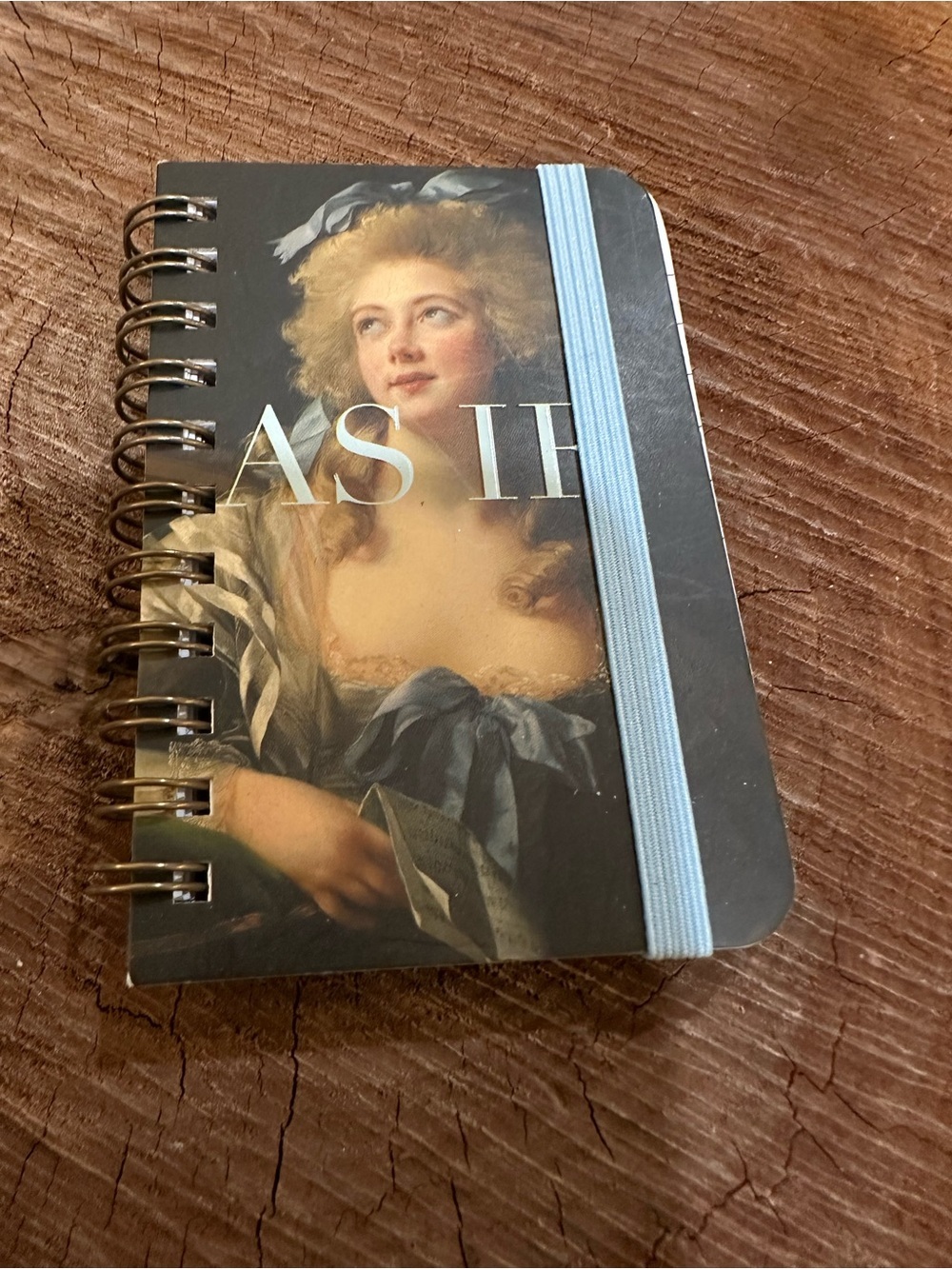 Blue Elastic-Band Spiral Notebook - Portrait Cover